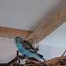 Phias erster Tag