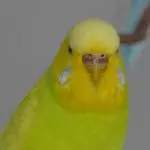 Malou, 1 Jahr