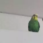 2 abgehauen ins Schlafzimmer 