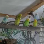 Aktuelles Gruppenfoto 