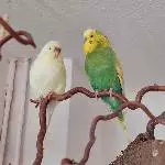 Leni und Neo