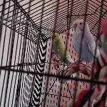 Romeo und Buddy am ersten Tag
