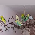 Gruppenfoto zu 6