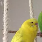 Unsere hübsche Lilli