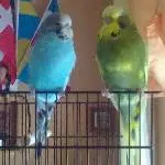 Sweety und Sunny