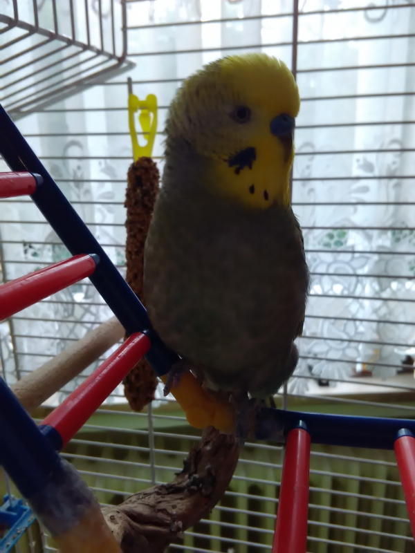John