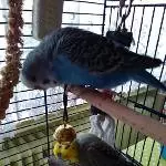 Hallo da unten