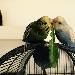 Piet und Edgar 
