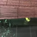 Wo ist Edgar?