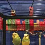 Olivia und Oliver