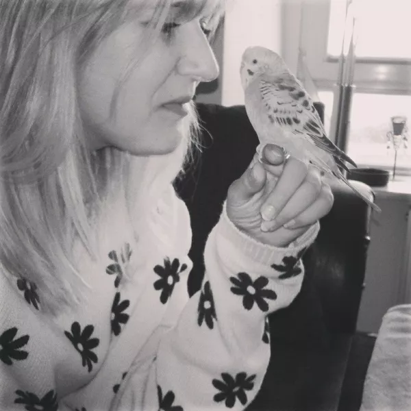 Wellensittich-Bild: Hier ist meine kleine Shibo in jungen Jahren =)