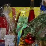 Tweety liebt Weihnachten