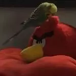 Angry Birds