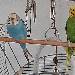 Mavi und Willi