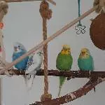 Marshall, Roberta, Willi & Betty