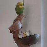 Willi und Betty