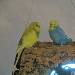 Leni und Hexe