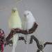 Wir beide sind neu hier