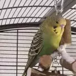 Piet auf dem Turm