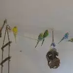 Alle Acht auf dem Seil