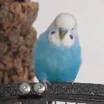 Hallo, ich bin Merry