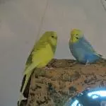 Leni und Hexe