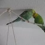 Liebe ist doch was wunderschönes