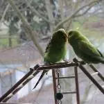 Das muss Liebe sein 