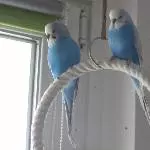 Chillen mit dem Brüderchen 