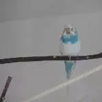 He, du hast mich geweckt!
