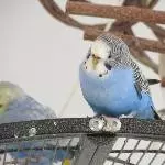 Tilly guckt neugierig