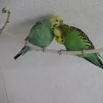 Liebe ist doch was Schönes 