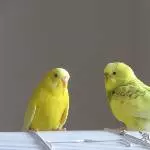 Arwen und Leni
