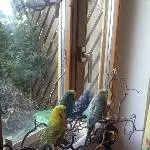 Ein Harmoniebild :- D