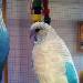Unsere Trixie