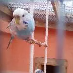 Was hat der da nur? 