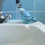 Blue beim Baden