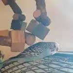 Kloppi guckt