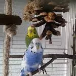 Das sind Fred & Chibi
