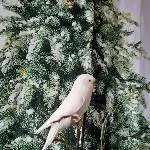 Weihnachtswichtelwelli