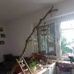 Freiflugbereich