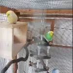 Meine 4 on Tour