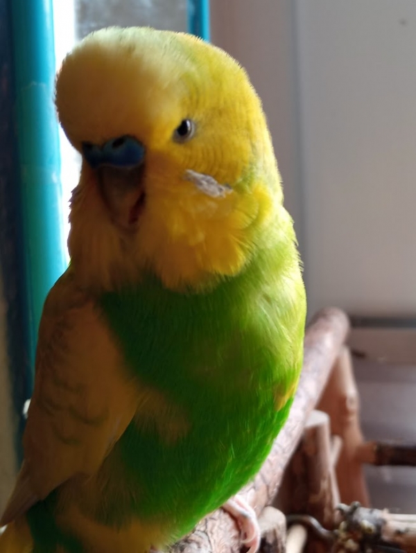 Benny