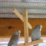Das sind Polly und Smokey
