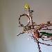 Flugbaum mit Bad