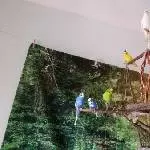 Gemütliches ausruhen