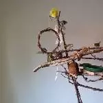 Flugbaum mit Bad