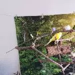 gemütliches Beisamensein