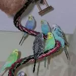 Gruppenfoto auf der Spirale
