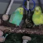 Trixi und Charlotte